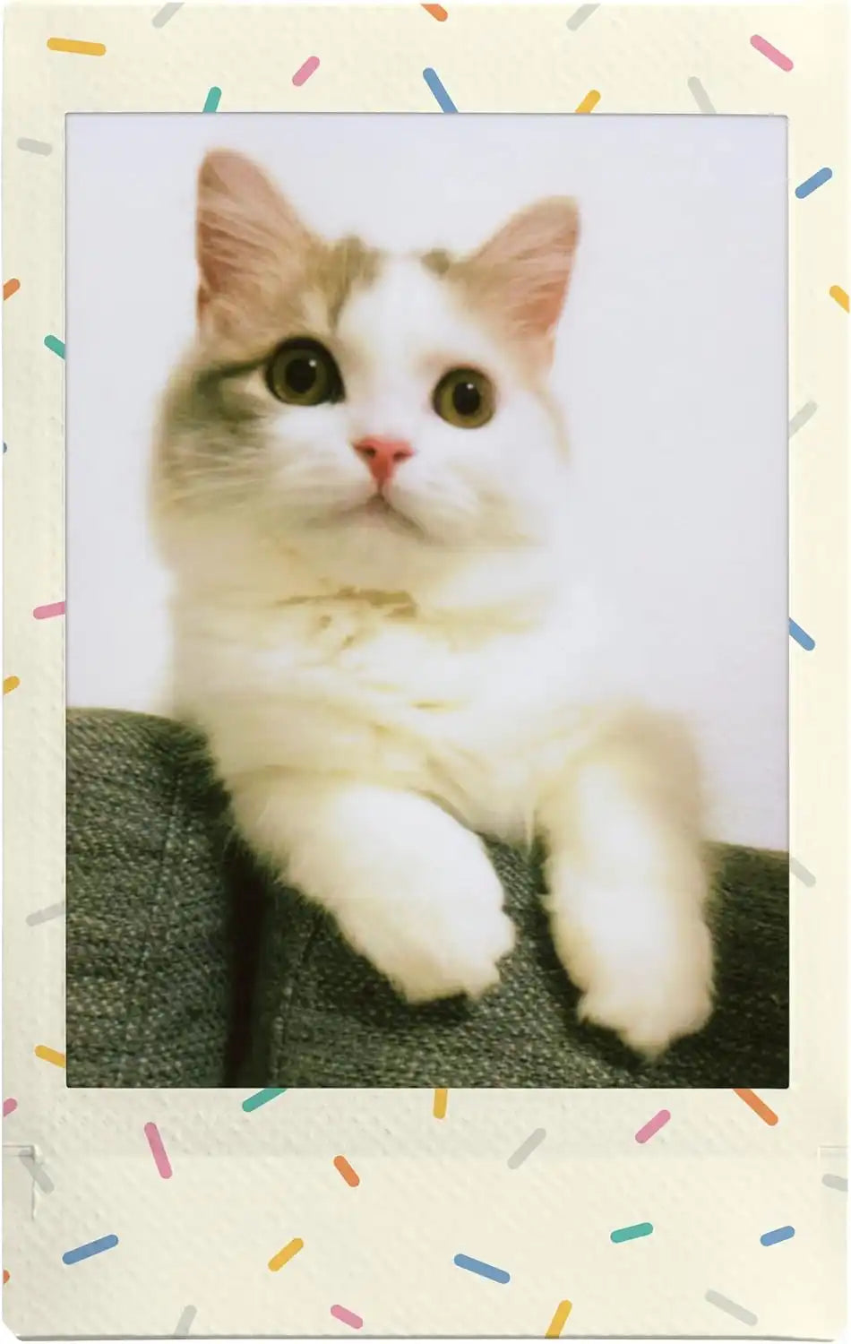 instaxcamera.it.com